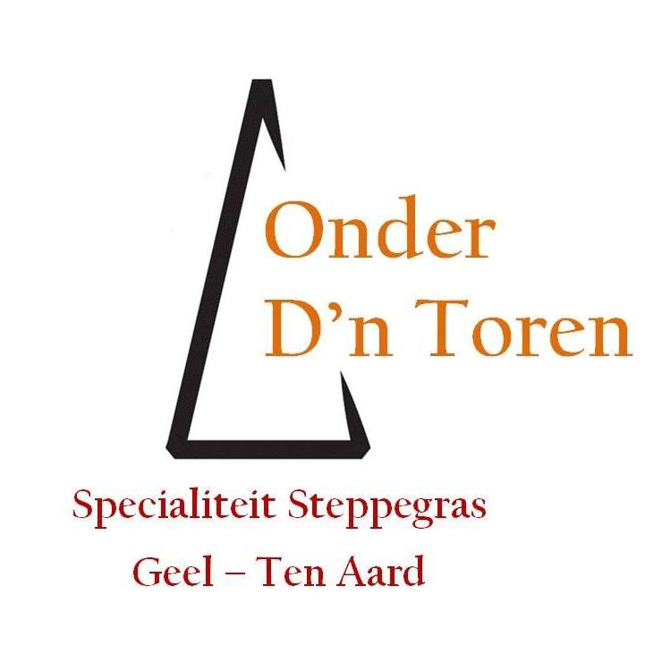 Onder_Dn_Toren_Logo
