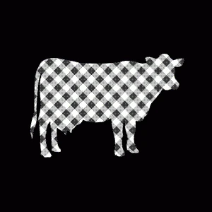 Vleesboetiek_Bart_en_Natacha_Mol_Logo